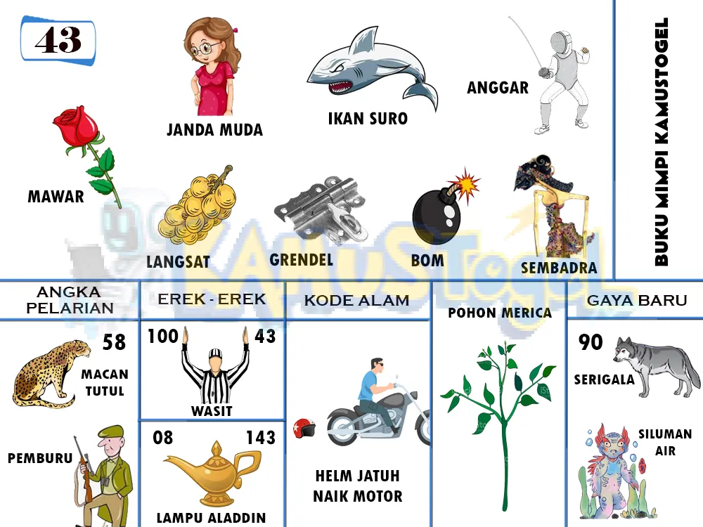 buku mimpi erek erek togel 43